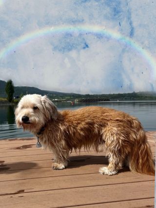 Varování⚠️ – téma smrti. Na konci zimy jsem se cítila vyčerpaná a smutná, jako kdyby tíha světa seděla na mých zádech....